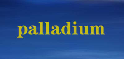 palladium-帆布鞋-palladium