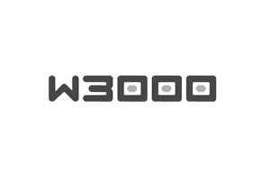 W3000-工装鞋-W3000