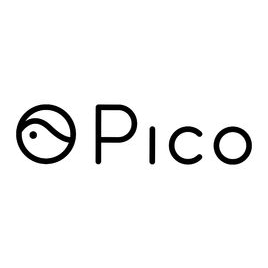 Pico-3d眼镜-Pico